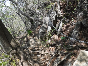 大岳山への登り