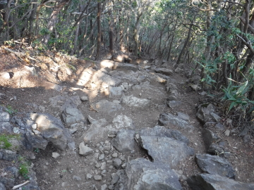 大岳山からの下り