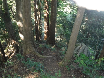 三方（さんぽう）山からの下り道