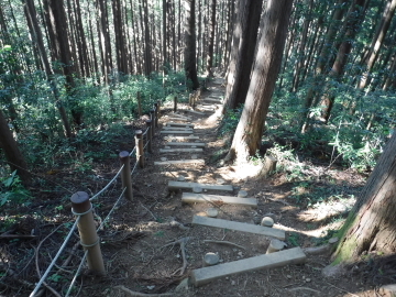 榎（えのき）峠に向かう下り道
