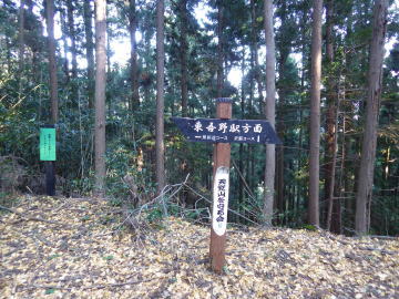 分岐