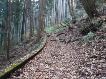 登山道