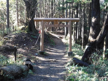 武蔵御嶽神社の鳥居