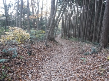 登山道