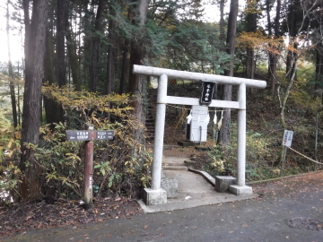 琴平神社鳥居
