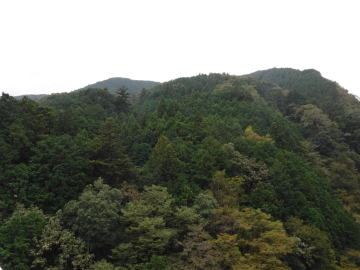 大塚山かな？