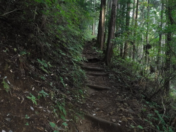 登山道