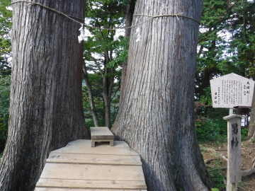 富士峰園地