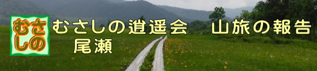 山旅、尾瀬