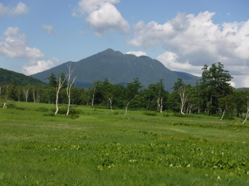 植物研究見本園