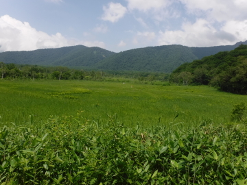 ヨシッポリ田代