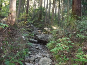 登山道