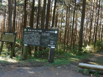 傘杉峠