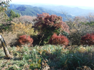 関八州見晴台