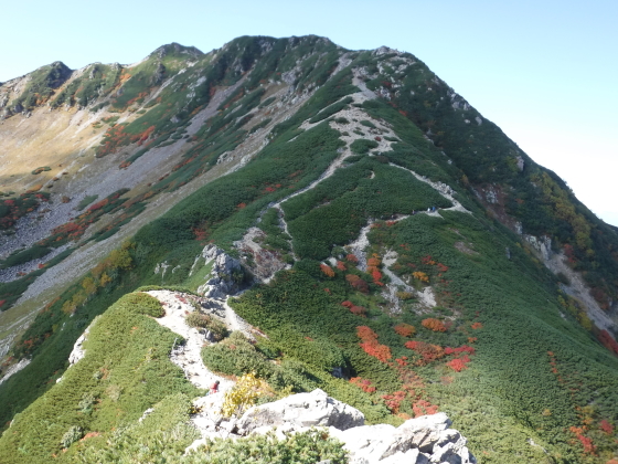 仙丈ヶ岳