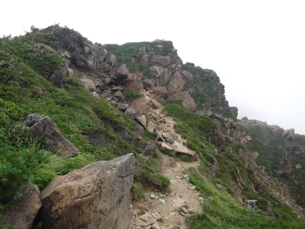 鳩待峠への下山路