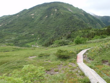 小桜ヶ原