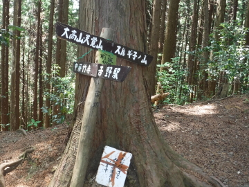 前坂