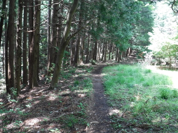 登山道
