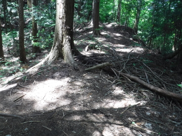 登山道