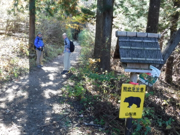 登山道