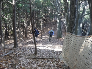 登山道