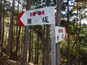 分岐