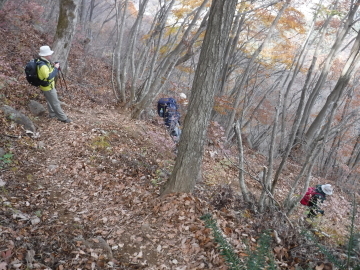 登山道
