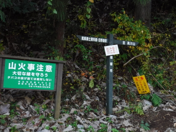 登山道はここまで