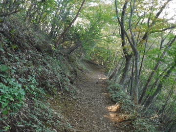 岩茸石山へ向かう登山道