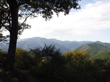 岩茸石山山頂　川苔山方面の展望