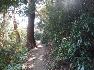 登山道