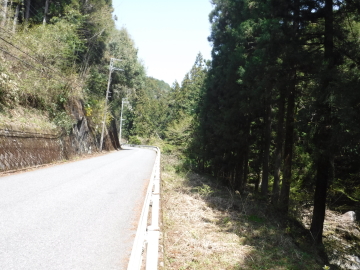 登山道に向かう道