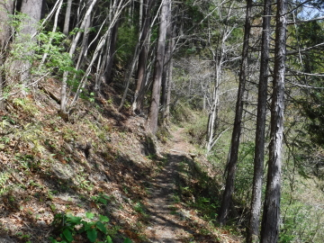 登山道