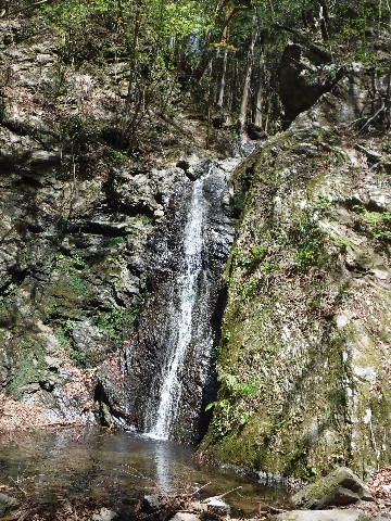大滝