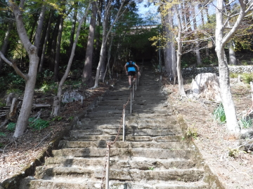 高山不動尊への参道