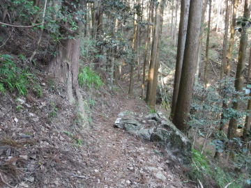 登山道