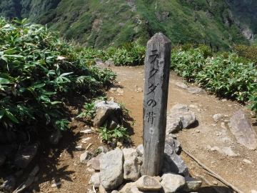 ラクダの背 1516m