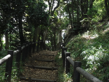 ハイキング道