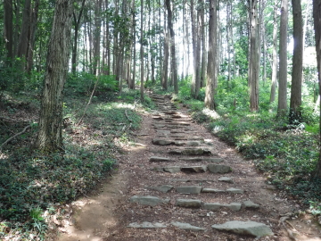 多峯主山へ続く道