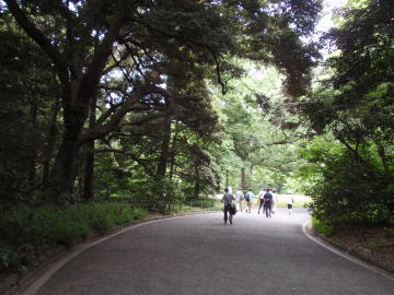 代々木公園