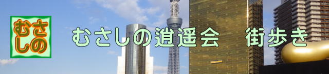 街歩きの報告