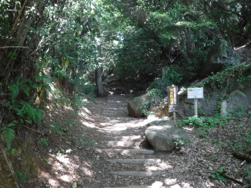 白雲橋コース登山道