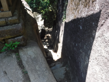 高天原