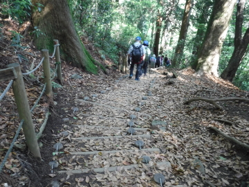 登山道