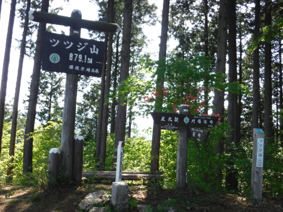 ツツジ山山頂879.1m