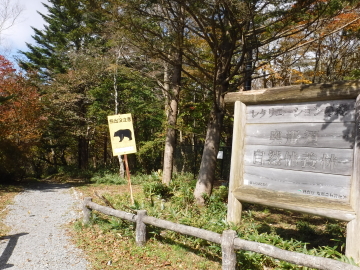 沼原湿原への道