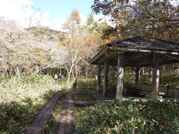 東家