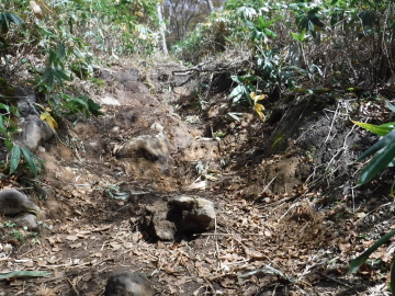 登山道