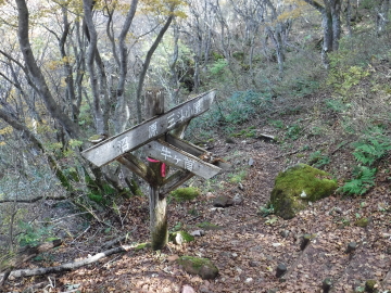 沼原分岐